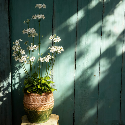 小花农 手压粗陶青苔立体浮雕花盆