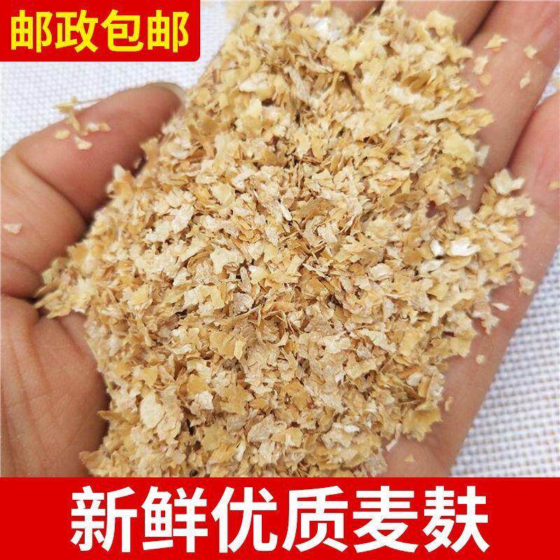 麦麸皮小麦麸鸡鸭虫吃粗麦麸细麦麸饲料钓鱼麦麸麸皮小麦麸皮粉