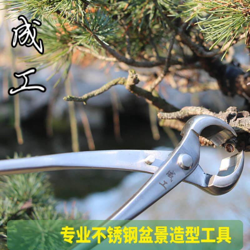 不锈钢球节剪园林园艺工具盆景造型专用球形剪刀大号盆栽钳修枝剪图片