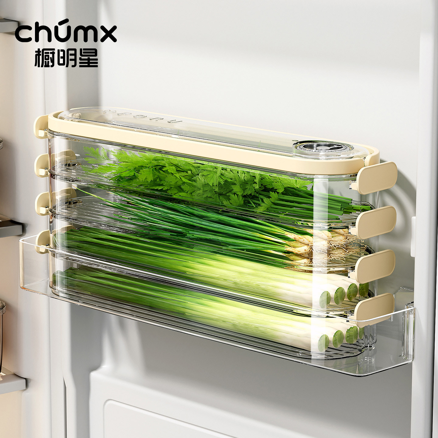 小葱香菜保鲜盒厨房收纳大葱蔬菜冰箱侧门整理防串味可叠加分装盒,收纳整理,食物收纳盒,淘宝优惠券,粉丝福利购,淘宝优惠卷