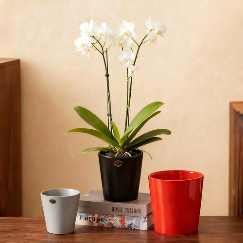 花盆陶瓷绿植专用盆栽中式简约家居客厅阳台办公室种植花器摆件