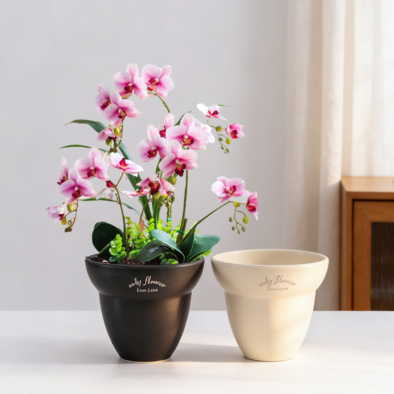 北欧简约花盆陶瓷家用蝴蝶兰专用ins风虎皮兰绿植盆室内阳台盆栽,鲜花速递/花卉仿真/绿植园艺,花盆,淘宝优惠券,粉丝福利购,淘宝优惠卷