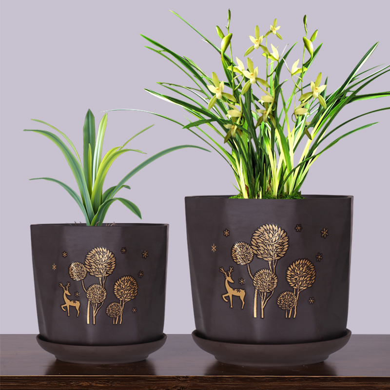 精品紫砂兰花2021新款深高盆带