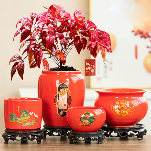 火焰蓝天竹花盆家用带托盘红盆喜庆发财树盆栽室内桌面植物摆件盆