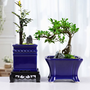 四方多肉老桩绿植盆景盆室内福建茶大口径透气高脚微观陶瓷盆摆件