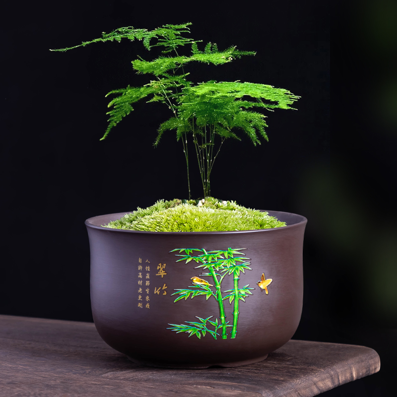 紫砂兰花花盆大口径带托盘室内蝴蝶兰绿植文竹盆景盆大多肉老桩盆