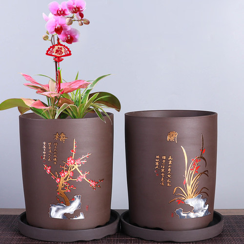 蝴蝶兰专用盆兰花紫砂盆多肉老桩