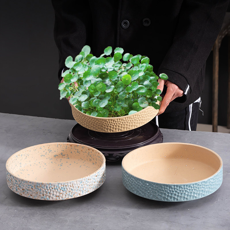 创意铜钱草花盆水培专用盆大口径家用绿植陶瓷盆桌面摆件带托盘