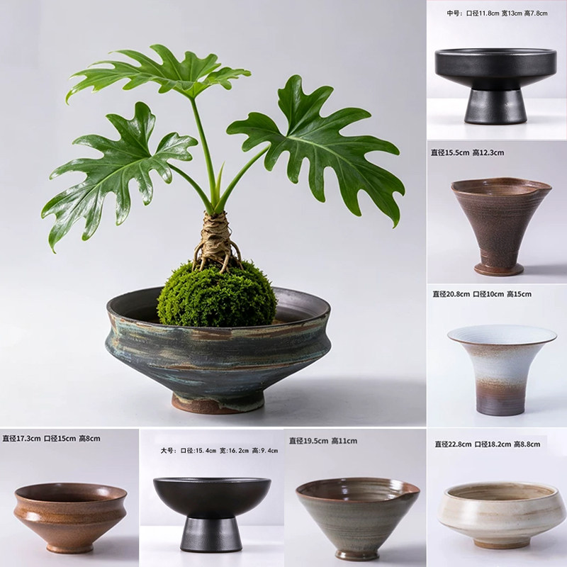 苔藓球花盆陶瓷花盆春羽绿植蕨类水培器皿盆中式复古家用桌面装饰