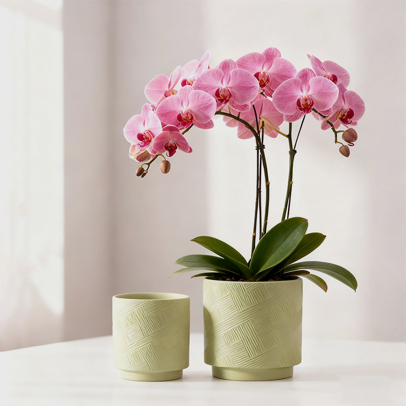 陶瓷花盆蝴蝶兰绿植专用盆中式简约轻奢家用阳台桌面大口径盆景盆,鲜花速递/花卉仿真/绿植园艺,花盆,淘宝优惠券,粉丝福利购,淘宝优惠卷