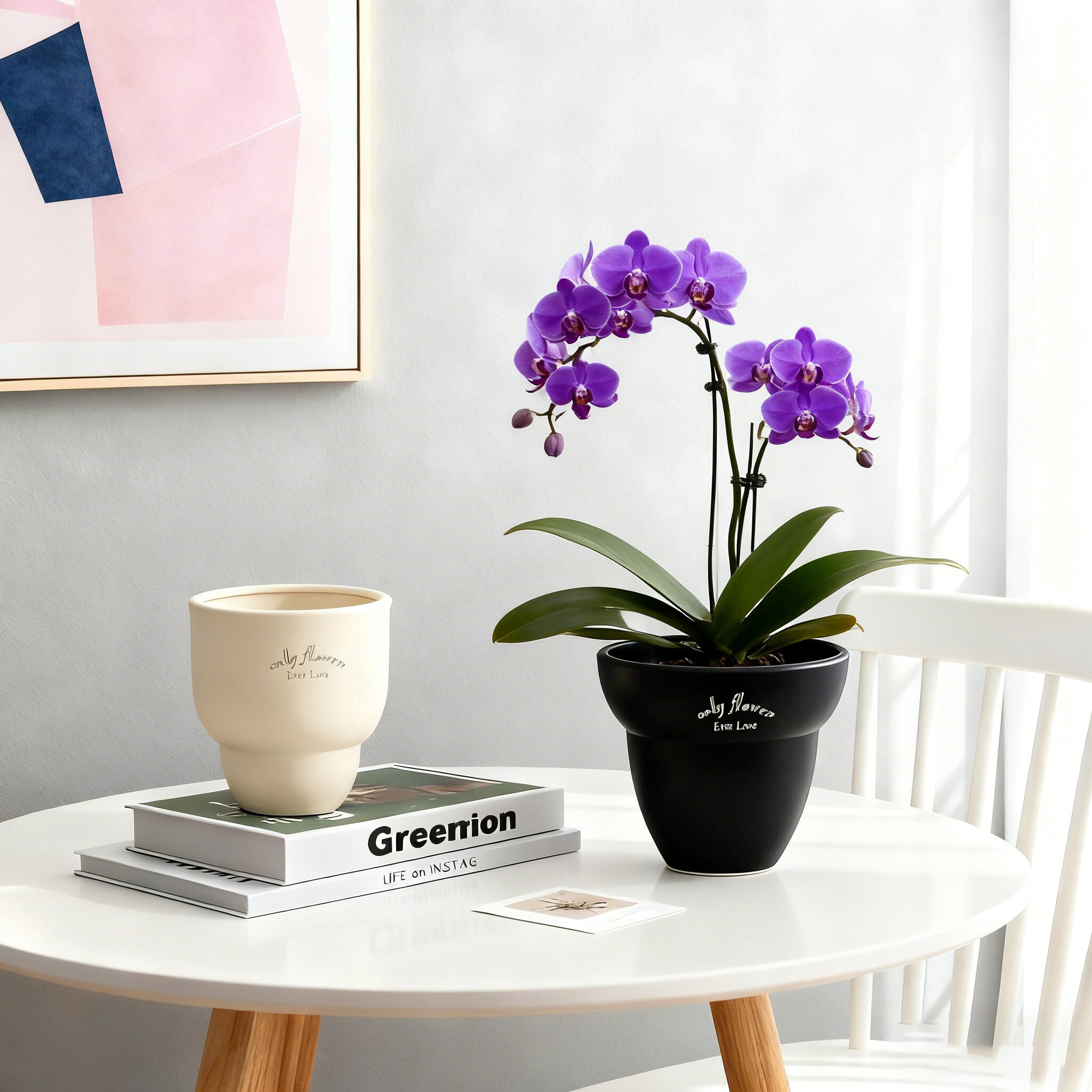 陶瓷花盆蝴蝶兰专用绿植盆景北欧ins风简约轻奢家用阳台盆栽装饰