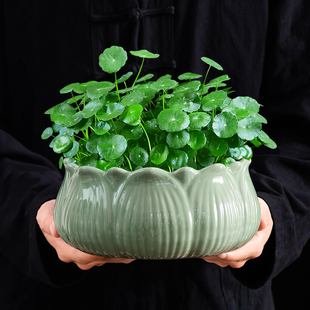 铜钱草水培花盆复古创意陶瓷家用大口径水培植物盆缸家居客厅摆件