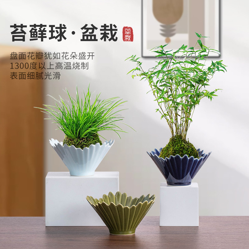 苔藓球花盆陶瓷盆无孔水培器皿米竹盆托绿植专用中式家用桌面摆件,鲜花速递/花卉仿真/绿植园艺,花盆,淘宝优惠券,粉丝福利购,淘宝优惠卷