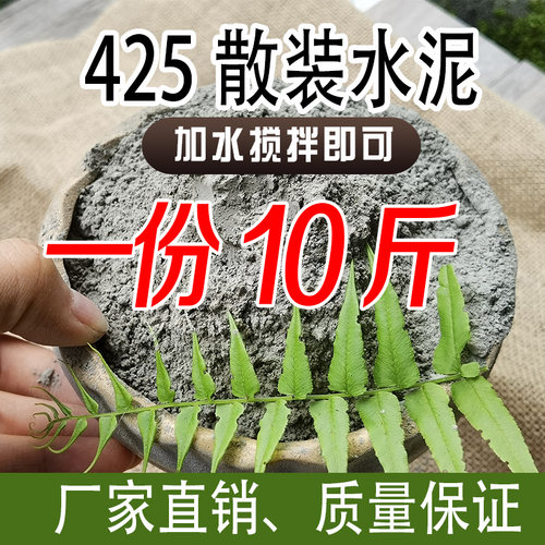 425速干高强水泥10斤家用