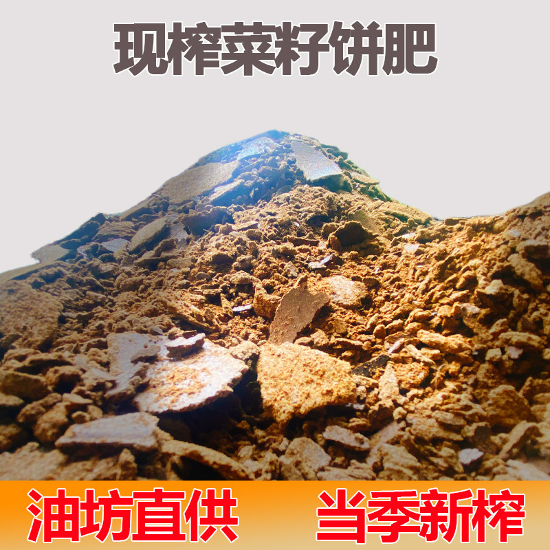 菜籽油饼农家菜枯打窝油菜饼菜籽有机肥营养土肥料钓鱼油枯