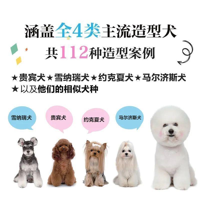 宠物美容造型教程泰迪贵宾犬雪纳瑞比熊修剪毛洗吹视频教学