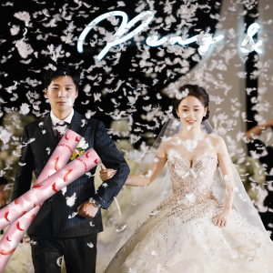 结婚礼炮羽毛喷花筒婚礼彩带用品大全舞台手持花瓣礼花礼泡喷花炮