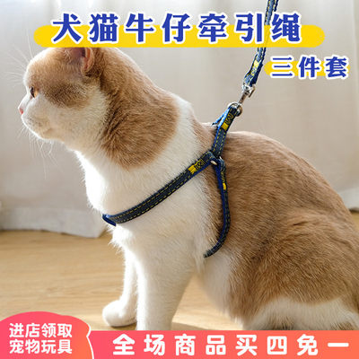 宠物猫牵引绳防挣脱锚链狗绳子