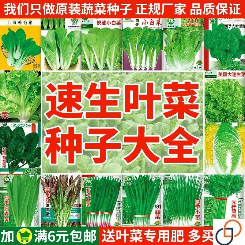 蔬菜种子四季播种阳台盆栽农家种植生菜籽黄瓜西瓜香菜种籽孑大全
