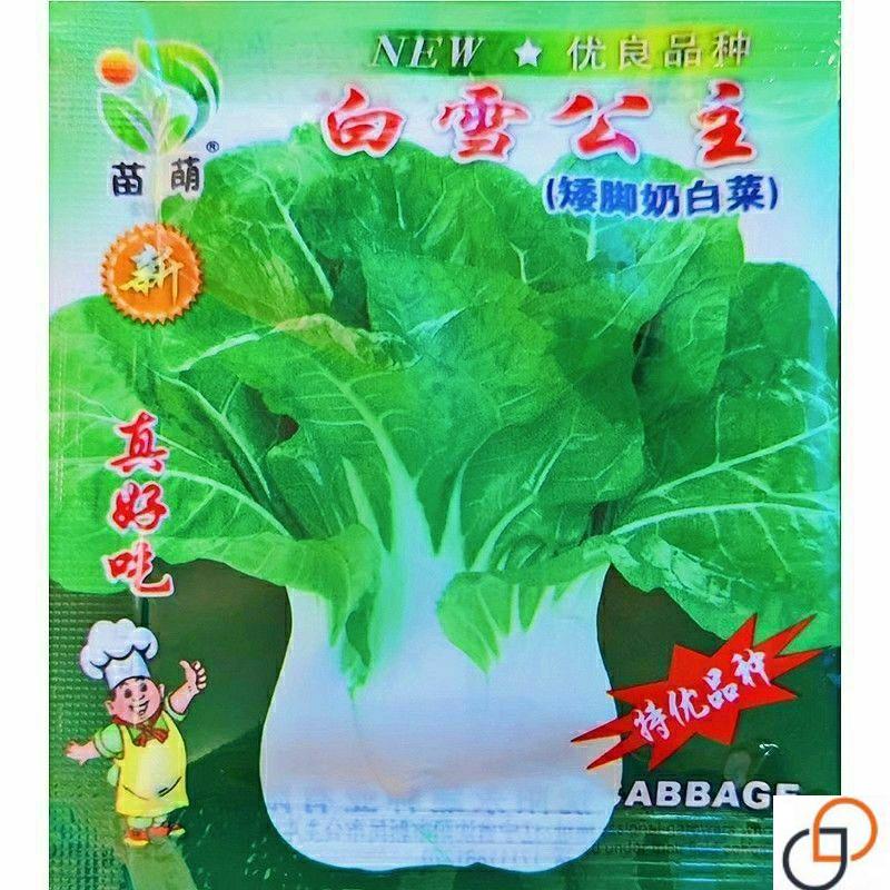 新白雪公主奶白菜种子湘潭四季播种矮脚白菜种籽盆栽大田蔬菜种子