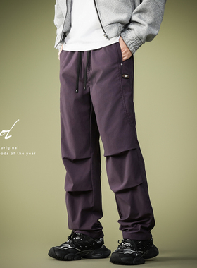 山系户外紫色休闲冲锋裤男秋季款cityboy宽松直筒垂感运动工装裤