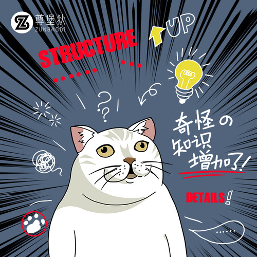 奇怪知识增加mur沙雕表情包衣服