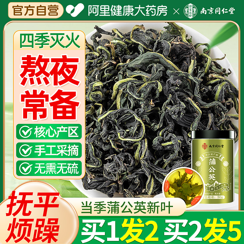 南京同仁堂蒲公英去火茶葉買1發2