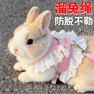 兔子牵引绳外出遛兔子专用防挣脱小白兔侏儒兔衣服宠物兔兔绳链子