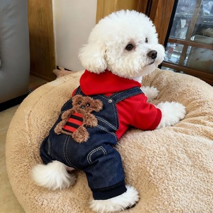 狗狗衣服秋冬款加厚保暖棉衣泰迪比熊博美小型幼犬宠物猫咪四脚衣