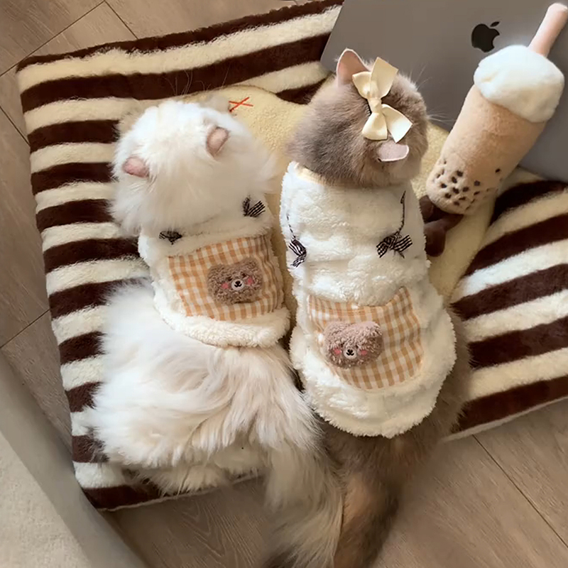 猫咪衣服秋冬款保暖背心防掉毛