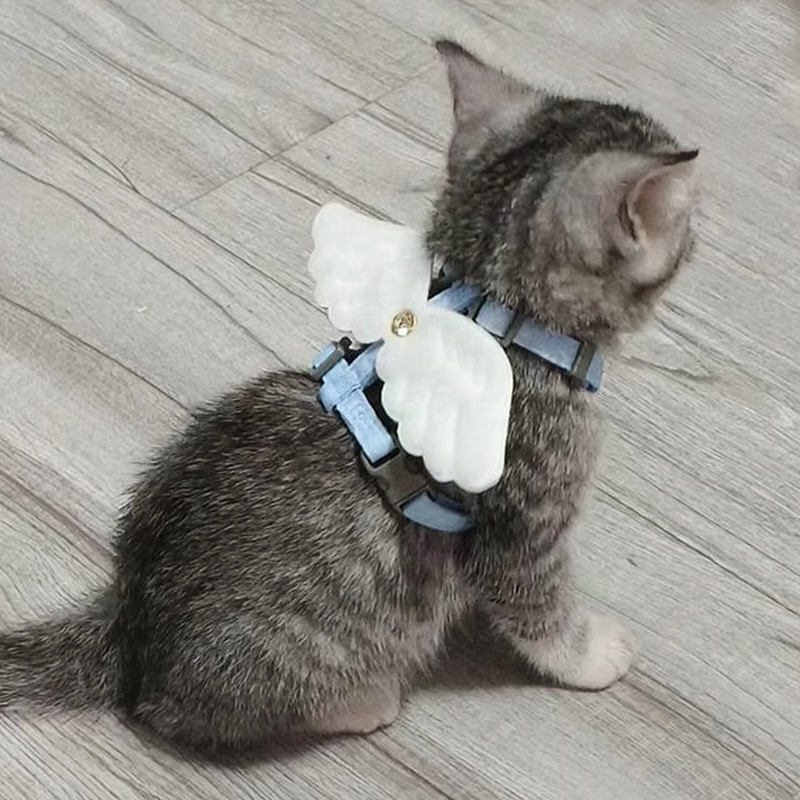 猫咪牵引绳可爱小翅膀宠物溜猫绳
