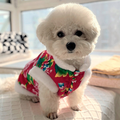 狗衣服秋冬潮流东北大花棉袄保暖