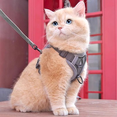 猫咪牵引绳宠物舒适透气胸背带