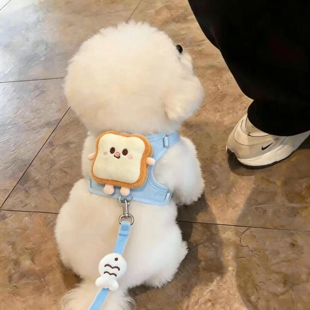 狗狗牵引绳背心式宠物猫咪胸背带图片
