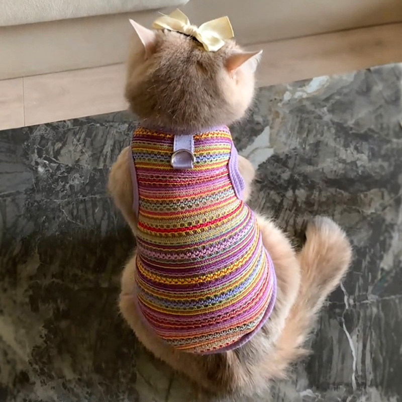 猫咪衣服夏季薄款透气背心防掉毛金渐层布偶幼猫宠物小狗狗可牵引