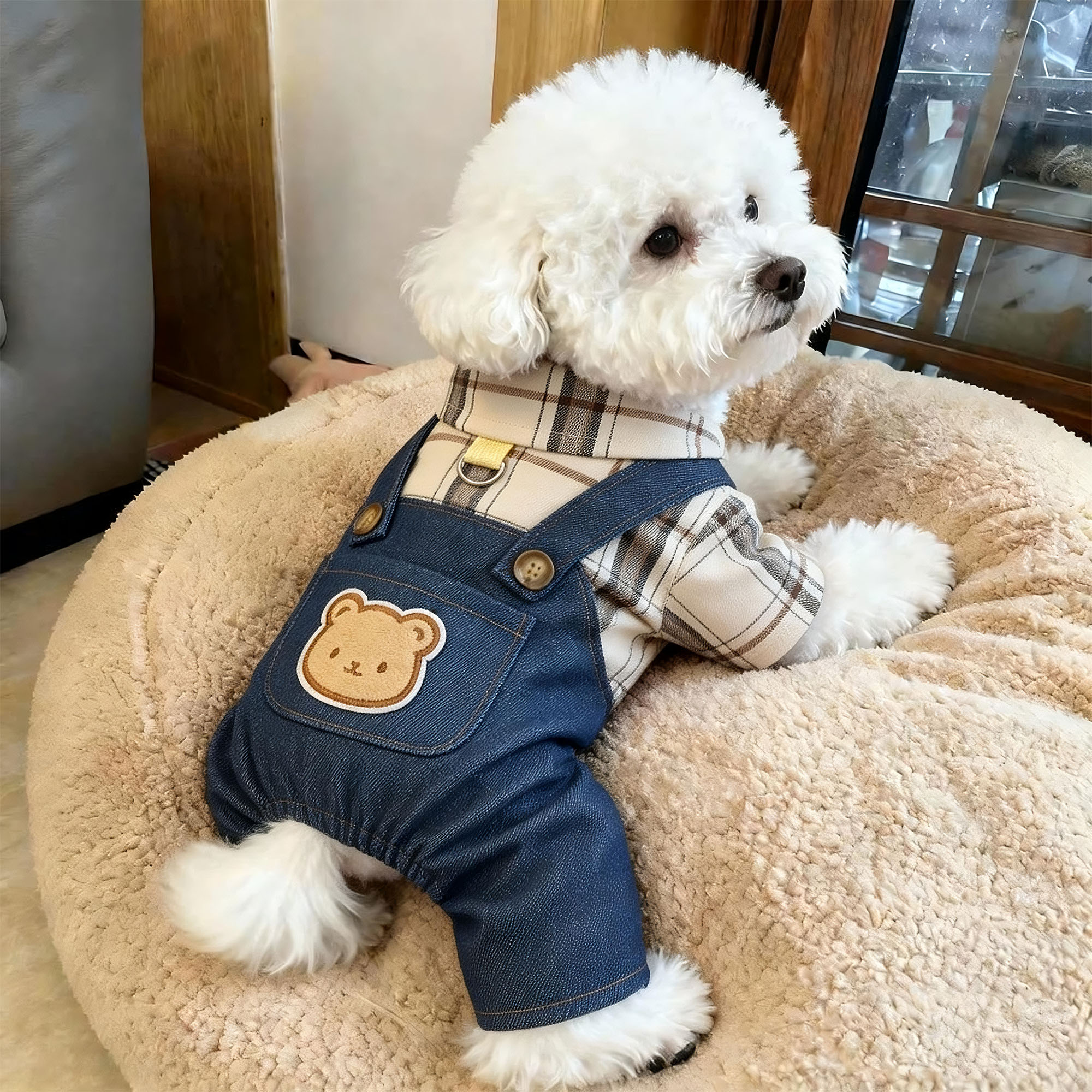 狗狗衣服秋冬薄款牛仔小熊背带裤图片