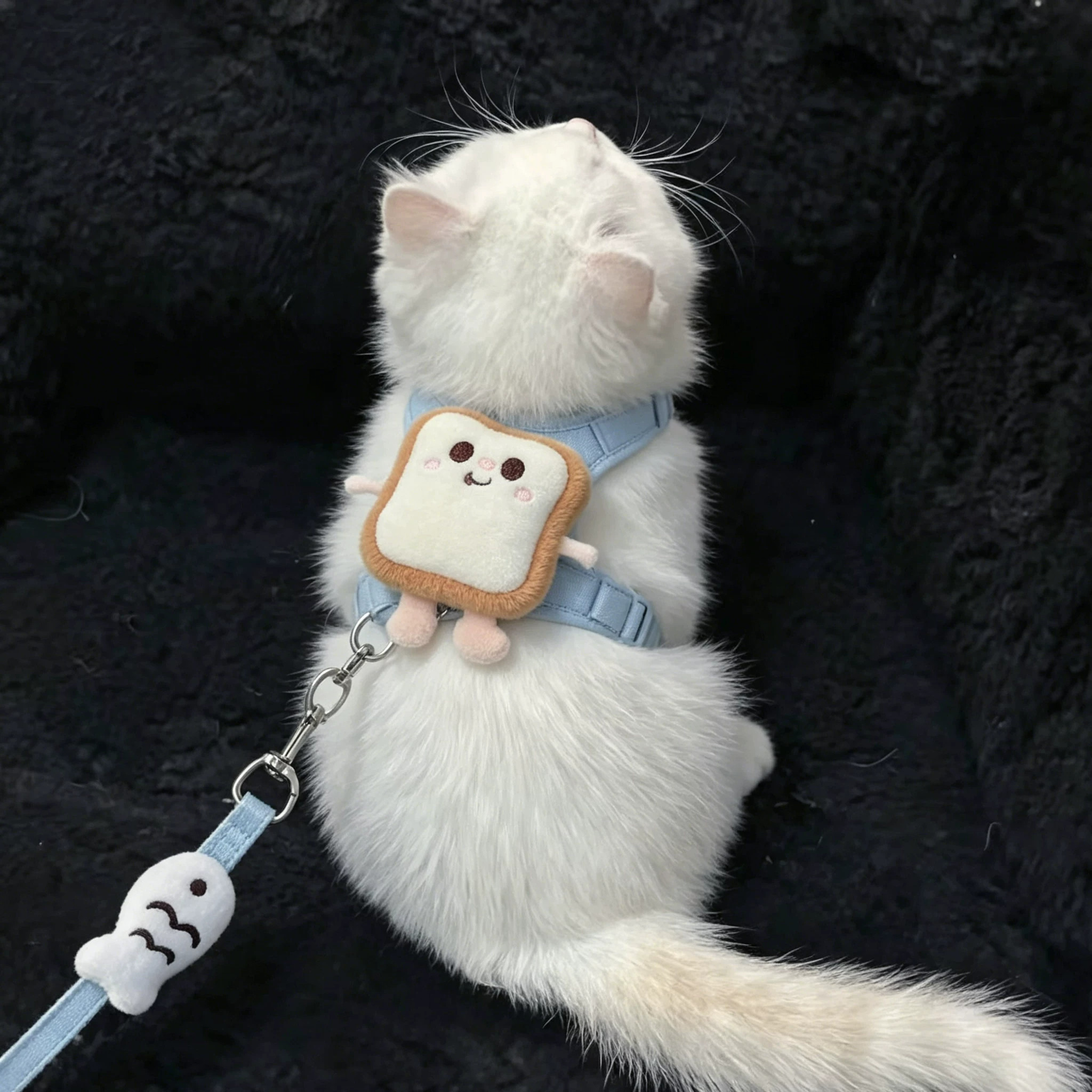 猫咪牵引绳外出专用防挣脱遛猫绳