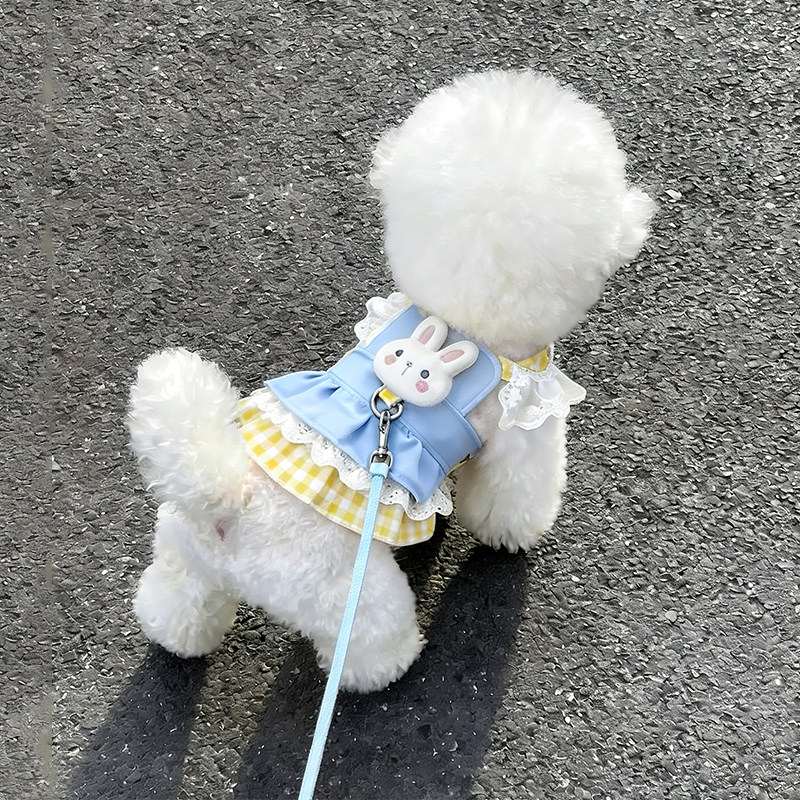 狗狗衣服薄款公主裙可牵引胸背裙图片