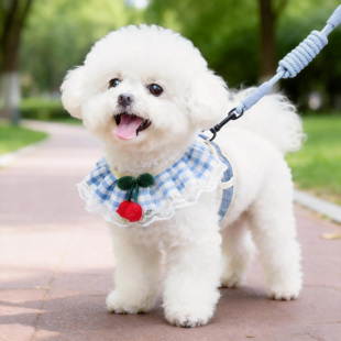 狗狗牵引绳春夏外出专用防挣脱宠物胸背比熊泰迪博美可爱遛狗绳子