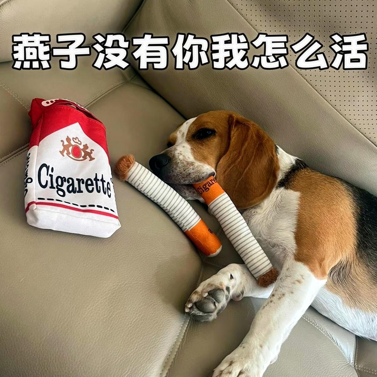 狗狗玩具仿毛绒真香烟发声华子