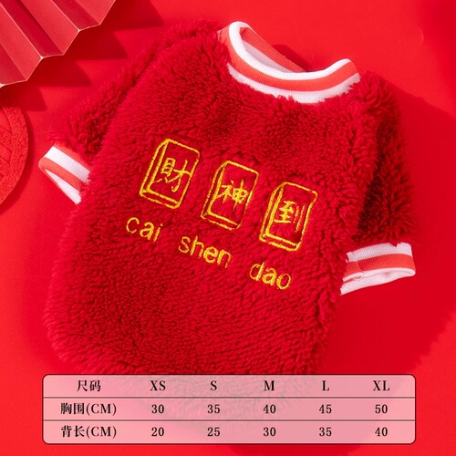 Dog Clothes—Autumn and Winter Festive Dragon Costume with Leash for Teddy, Bichon, Pomeranian, Small Dogs, and Puppies—Warm Cotton Coat for Winter
