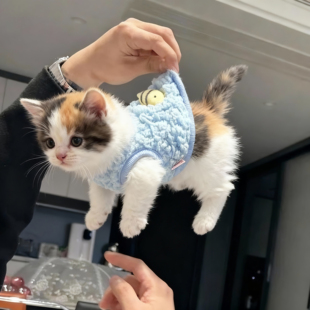 幼猫衣服小奶狗小奶猫秋冬保暖背心0-3个月新生幼犬小体宠物防寒