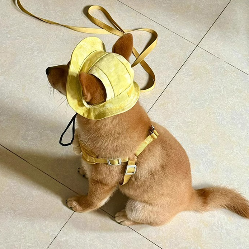 狗狗帽子猫咪夏季外出遮阳防勒宠物渔夫帽漏耳可调节溜猫遛狗神器