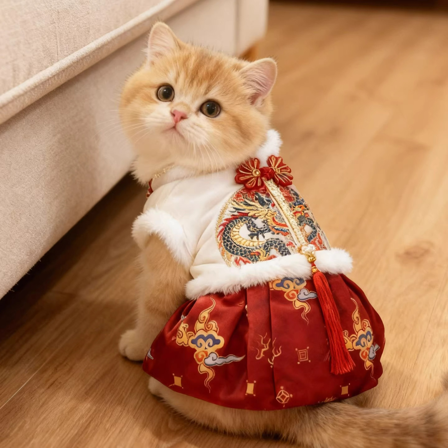 猫咪衣服精致过年唐装冬季加厚保暖新年喜庆宠物公主裙小狗狗裙子