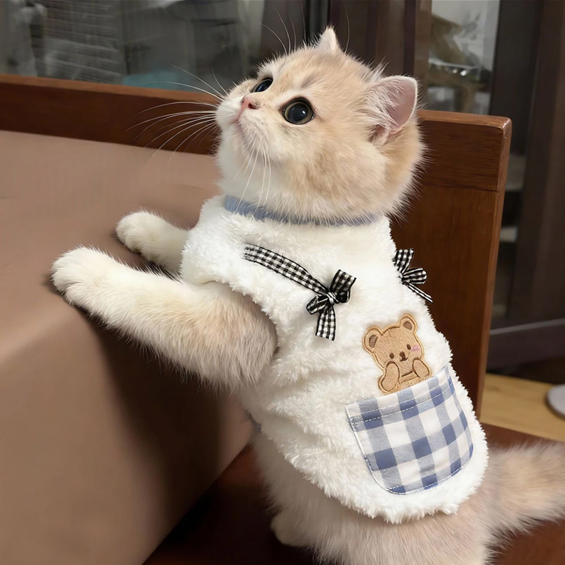 猫咪衣服秋冬装保暖防掉毛马甲布偶英短金渐层幼猫宠物小狗狗背心