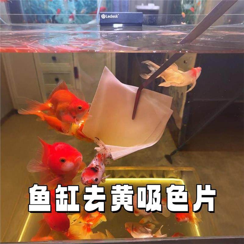 除黄水绿水吸色片水质净化神器水族箱去腥臭过滤色母片鱼缸吸色纸,宠物/宠物食品及用品,鱼缸净水剂,淘宝优惠券,粉丝福利购,淘宝优惠卷