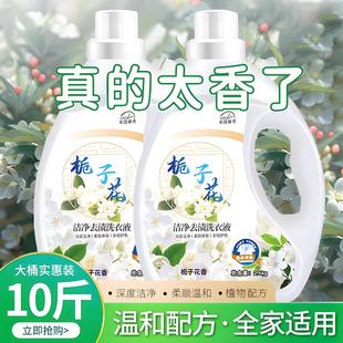 斤装 香味持久官方旗97647 洗衣液栀子花持久留香整箱批家用实惠装
