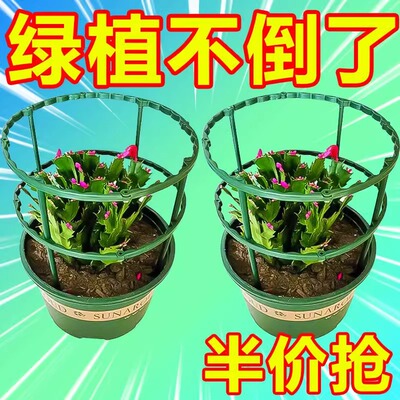 可拼接花架子室内家用支架通用型兰花架莲花护叶架园艺盆栽支撑杆