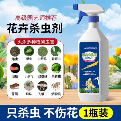 花卉月季专用杀虫剂除蚜非红蜘蛛
