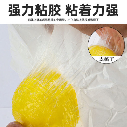 果蝇诱捕器室内去除小飞虫灭杀神器克星粘虫板飞虫厨房蠓虫诱苍蝇